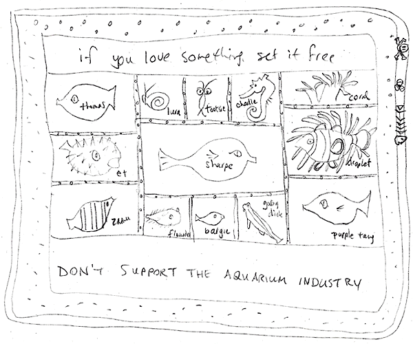 no aquariums